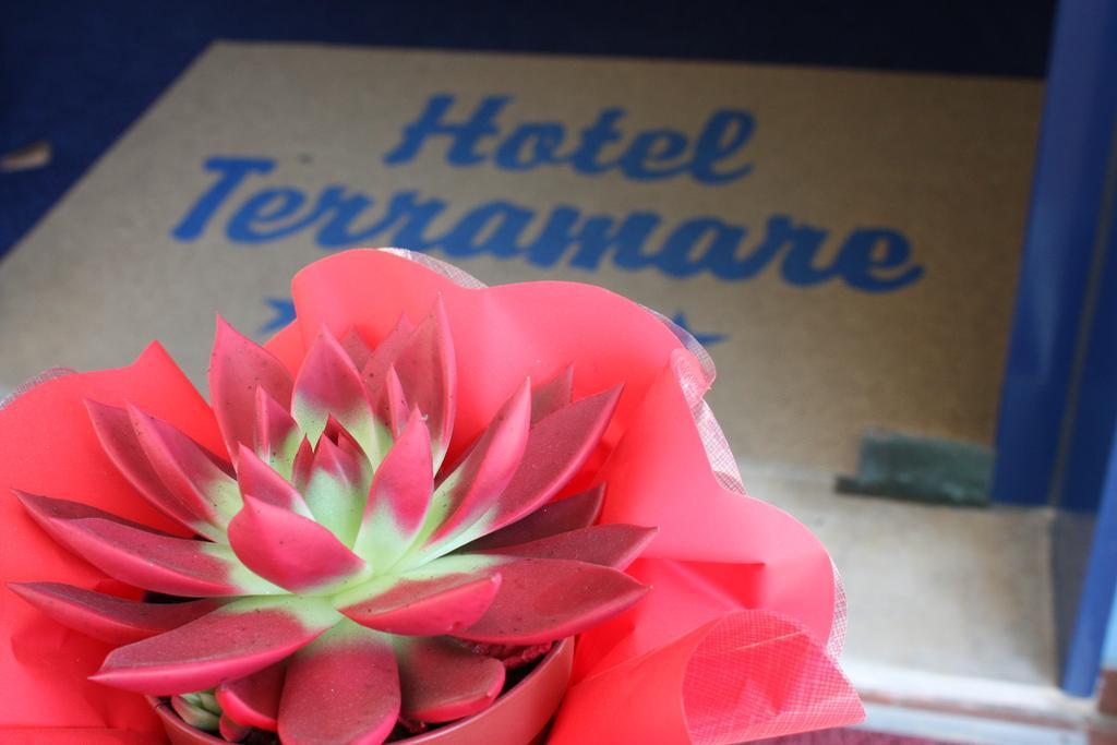 Hotel Terramare Лидо ди Йезоло Екстериор снимка
